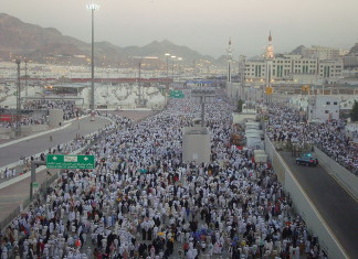 Hajj deaths due to ‘fate’