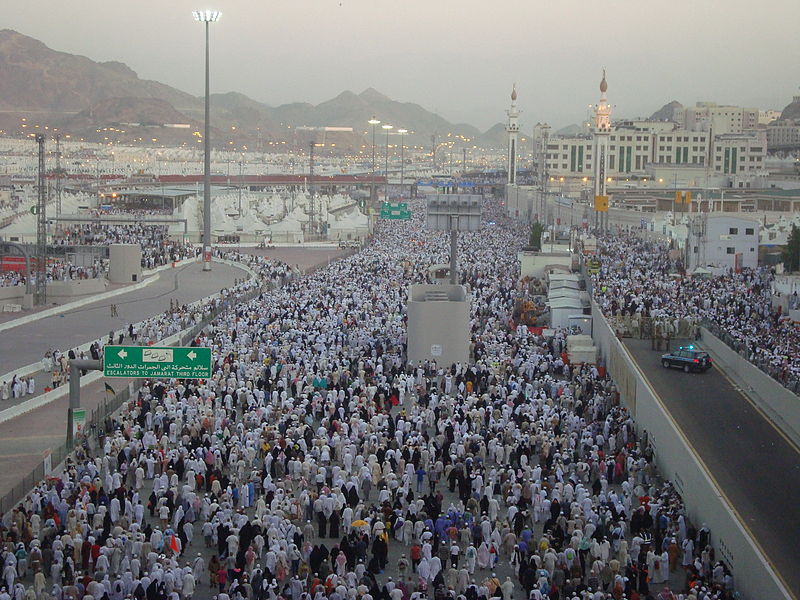 Hajj deaths due to ‘fate’