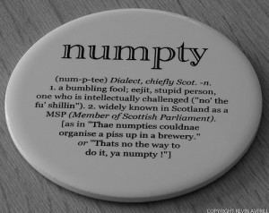 Numpty Coaster