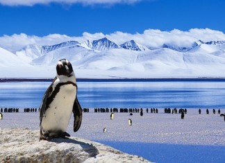 The Positive Impact of Climate Change