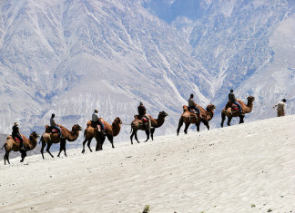 Mongolia rejects calls for “Sorry Day”