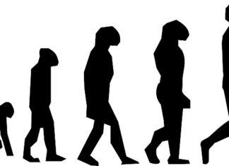 Progressive left avoid real progress