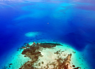 Science is settled on SHAGGIN