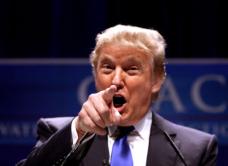 Trump 2016 and the Canary in the Traditional Media Coal Mine