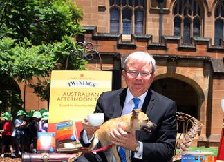 Malcolm, Julie and Kevin: A terrifying clown show