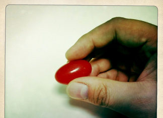 Quote of the Day: r/K is everything, be the K