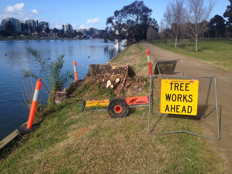 Say it with a Picture: Beware Inanimate Tree Stumps