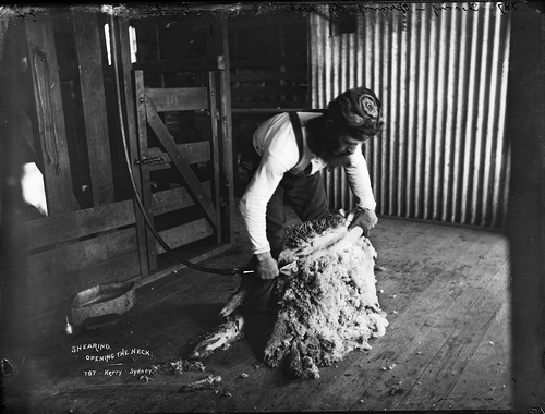 Australian farmer photo