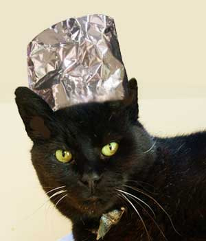 Tin foil hat photo