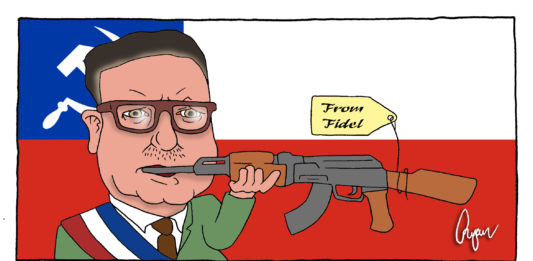 Cartoon-2-533x261.jpg