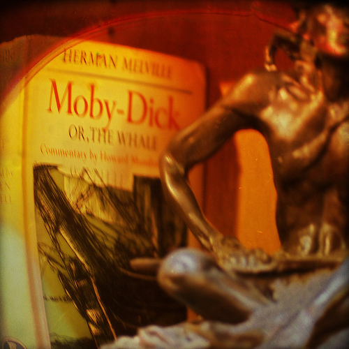 Moby dick photo