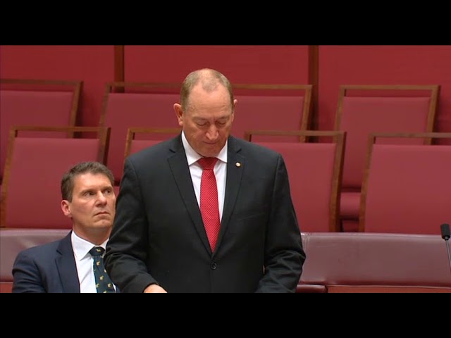 A New White Australia Policy: Senator Fraser Anning Makes Maiden Speech