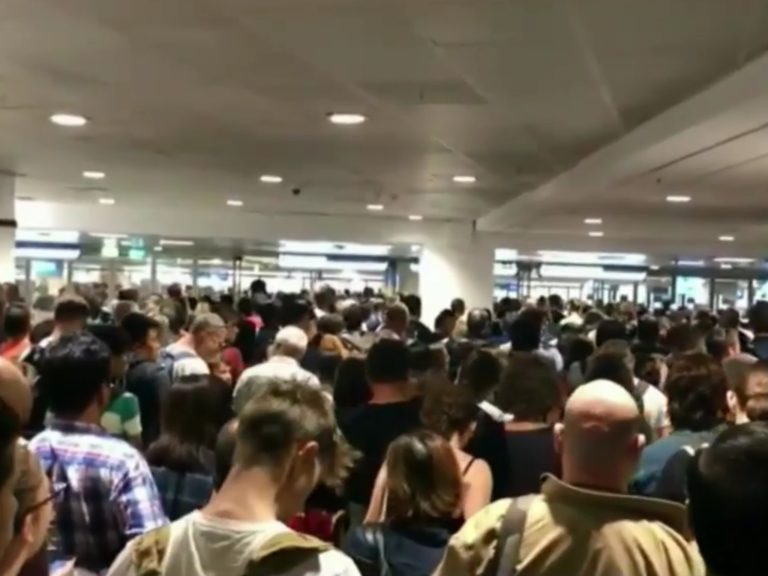 Airport bug could delay white genocide by up to 48 hours