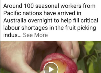 Fear Not: Foreign Workers are here to Pick Aussie Fruit