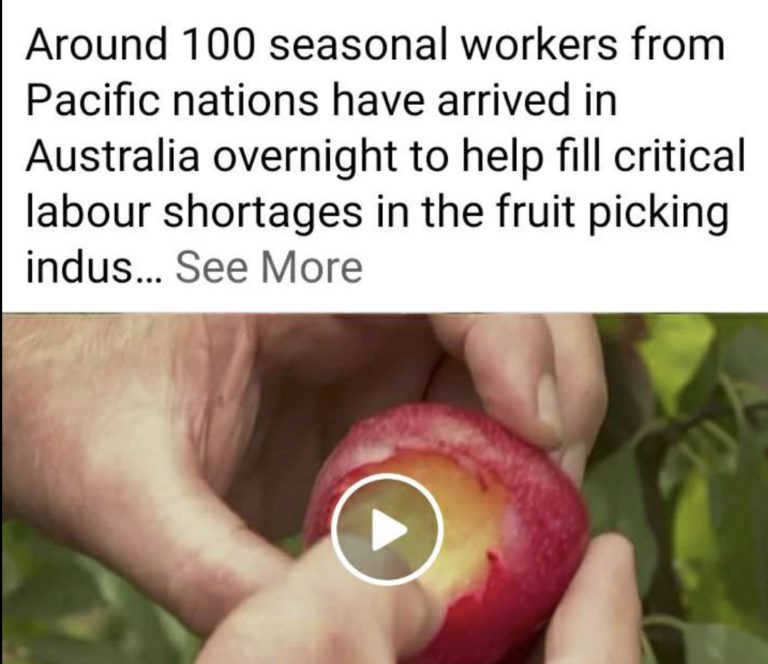 Fear Not: Foreign Workers are here to Pick Aussie Fruit