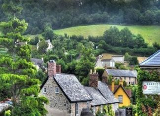 Searching for beauty