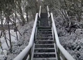 Victoria Freezes: Tim Flannery promises to wear a paper bag over his head for the rest of April