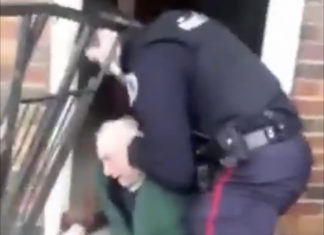 BREAKING: Nazi Terrorist Peacefully Apprehended by Valiant Police Officers