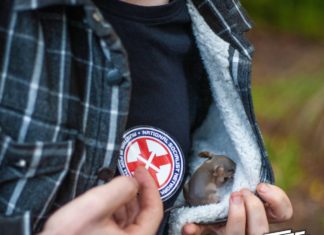 SA Government launches INSANE COMMUNIST RAID on NSN with OVER 100 POLICE