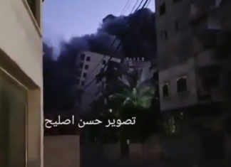 Let the Jews and Arabs fight