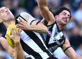MCG Covid Scare: Contact Tracers relieved Collingwood are awful this year
