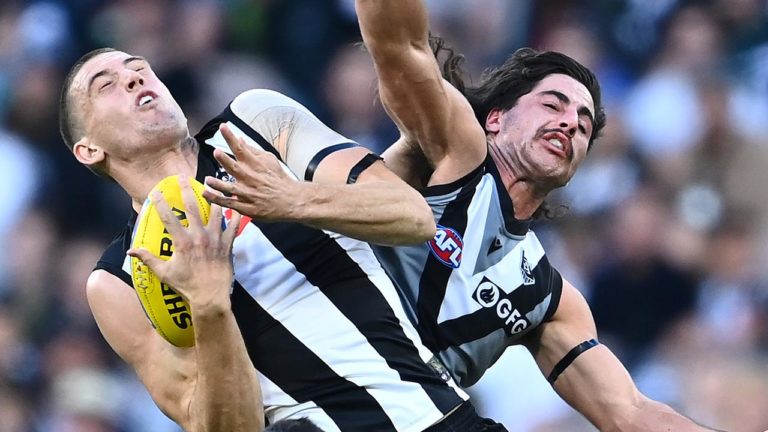 MCG Covid Scare: Contact Tracers relieved Collingwood are awful this year