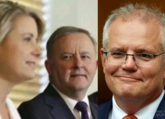 Our politicians are scared of true democracy