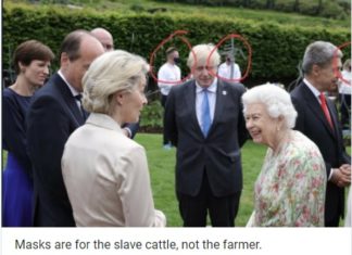 Here’s Laughing at You, Kid: The Parasite Class and their Scamdemic