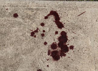 ABC covers up African Gang stabbing in Adelaide