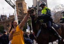 Fake News: Man did NOT punch horse at anti-lockdown protest in Sydney