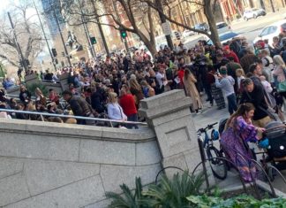 Thousands protest for freedom at Councils all across Australia