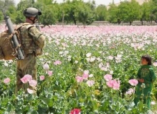 Afghanistan A Great Success Story