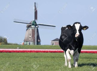 The fake nitrogen crisis and stealing land