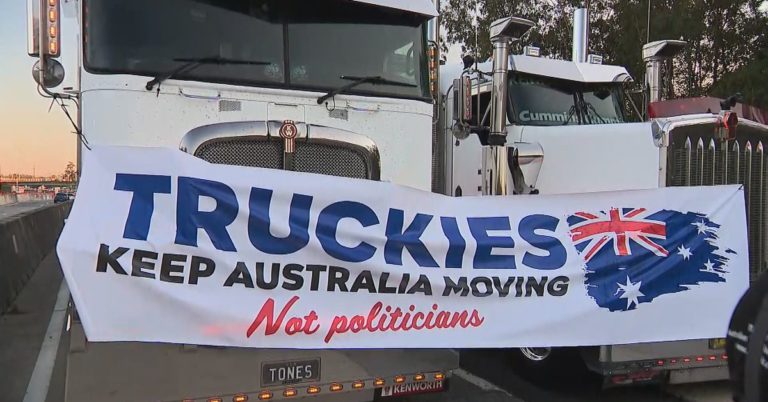 If 2 truckies can hold up a freeway, 200 can stop a nation