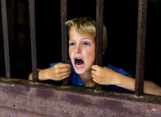 The Whole World is HORRIFIED about Australia’s Covid Tracking App