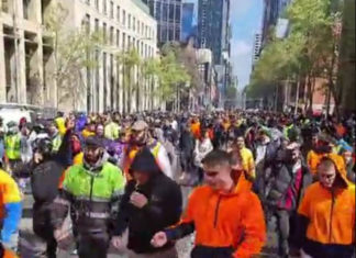 Daniel Andrews has blood on his hands: Melbourne tradie takes his own life