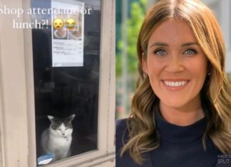 Georgia Love makes racist joke about cat, reveals power level