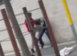 2 Female Police Officers BASHED in NSW: Nobody Helps