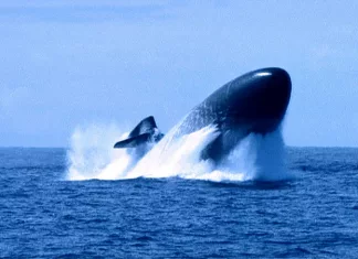 Australia to get nuclear subs for a country which no longer exists