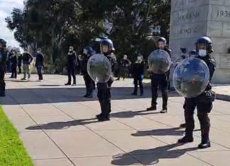 From Freedom To Dystopia