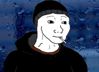 State of the Zoomers