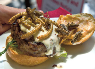 Take The Jab, Eat The Bugs