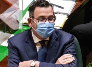 Labor Rats Desert Daniel Andrews