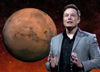 Elon Musk says have more babies