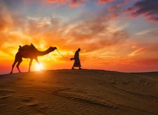 Christmas in the Desert