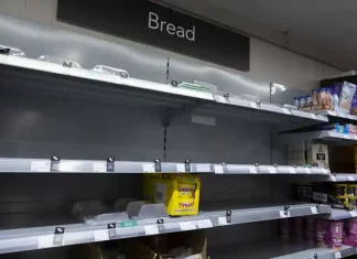 “Four Meals from Anarchy”: Rising Food Prices Could Spark Famine, War, and Revolution in 2022