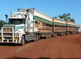 Shortages are coming in 2022