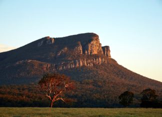 Thomas Sewell is free