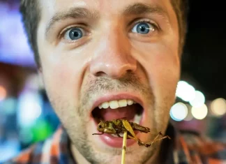 We’re not for sale