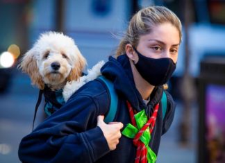 Beware the True Believers